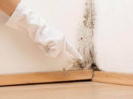 Best Biohazard Mold Removal  in Delhi, CA